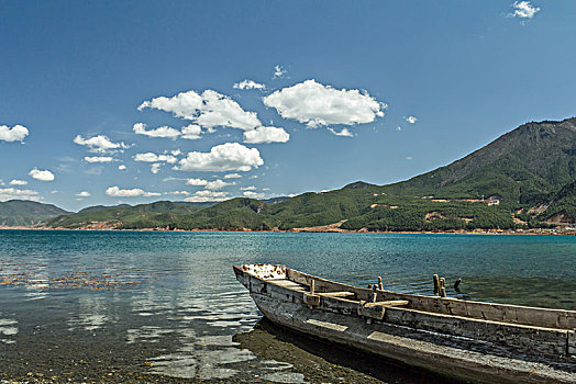 quay thử