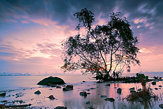 dự đoán soi cầu