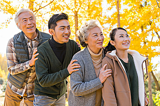 soi câu miễn phí