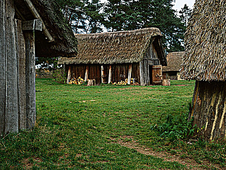 xổ số an