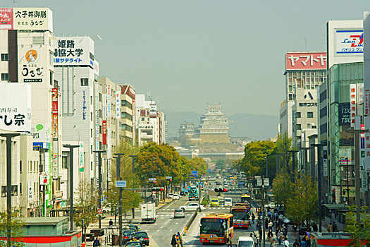 soi cau mb rong bach kim