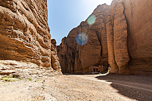cau bach thu ngay mai
